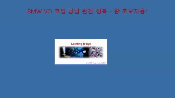 BMW VO 코딩 방법 완전 정복 - 왕 초보자용!